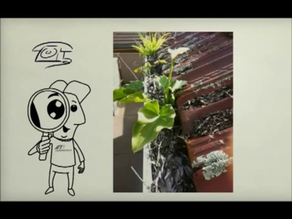 Gutter Cleaning Perth - 0449290393 Gutter Cleaning in the Perth Area