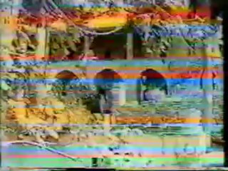 MISKO Ακάκιος