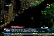 Indígenas guatemaltecos denuncian desalojo ilegal