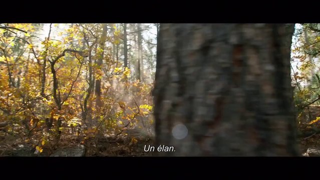 DU SANG ET DES LARMES (LONE SURVIVOR) - Bande Annonce #1 VOST