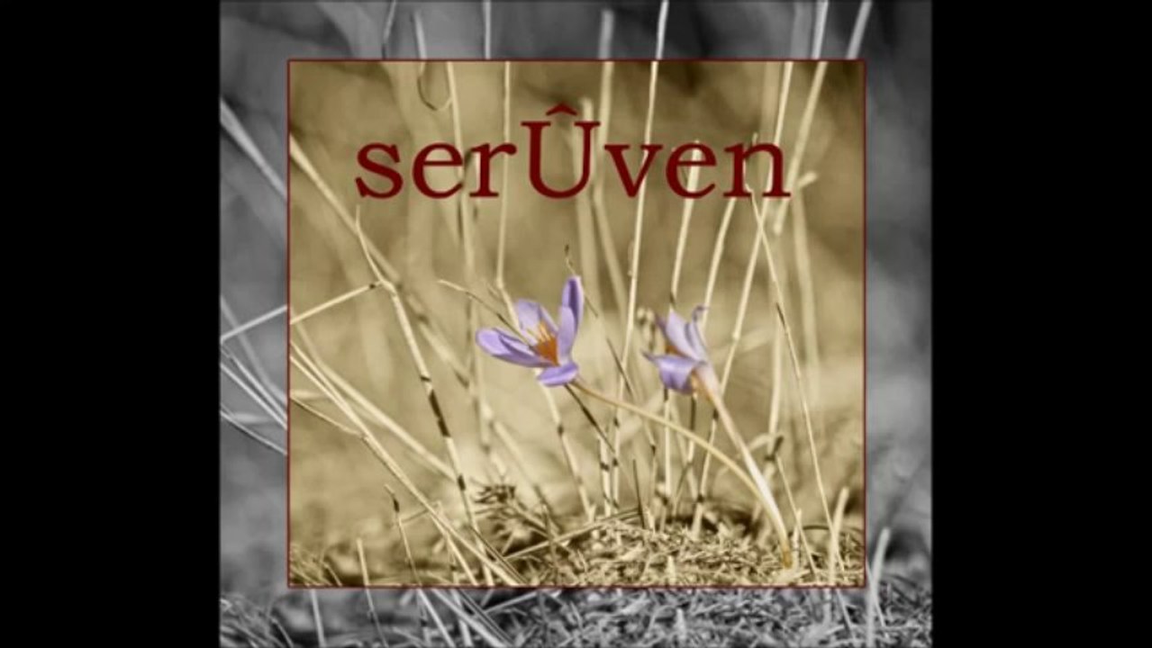 VEDAT CENGIZ- BITLISTE BES MINARE