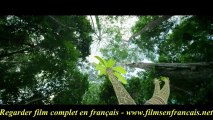 Il était une Forêt Voir film en entier en français en streaming Online Gratuit VF