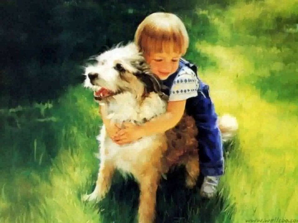 yıldız çam - abaruh