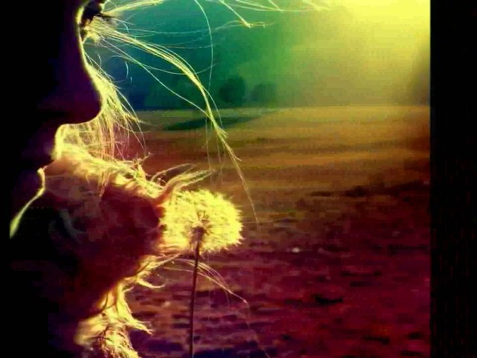 yıldız çam - gine yeşillendi germir bağları