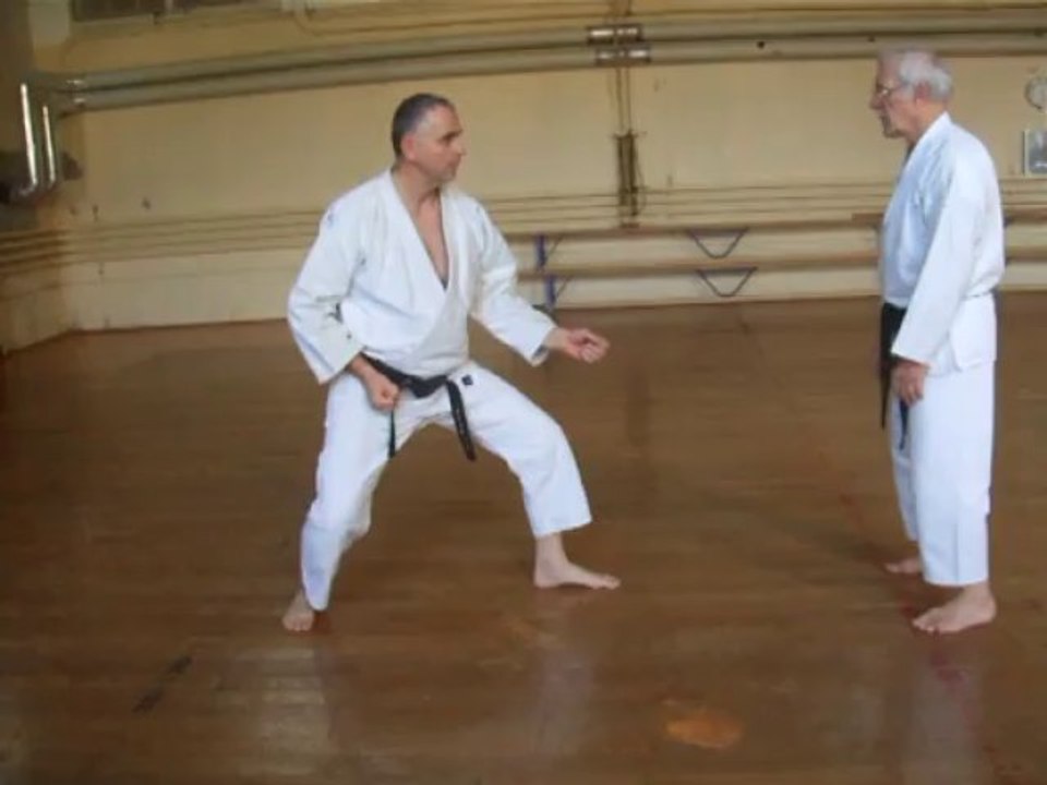 Kihon Ippon Kumite 1