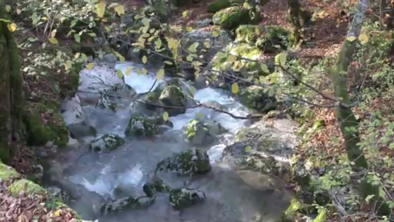 Ruisseau
