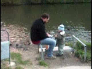 canards et miettes de pain