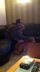 Papa en train de caliner Maurice ..le plus beau des cockers :-)