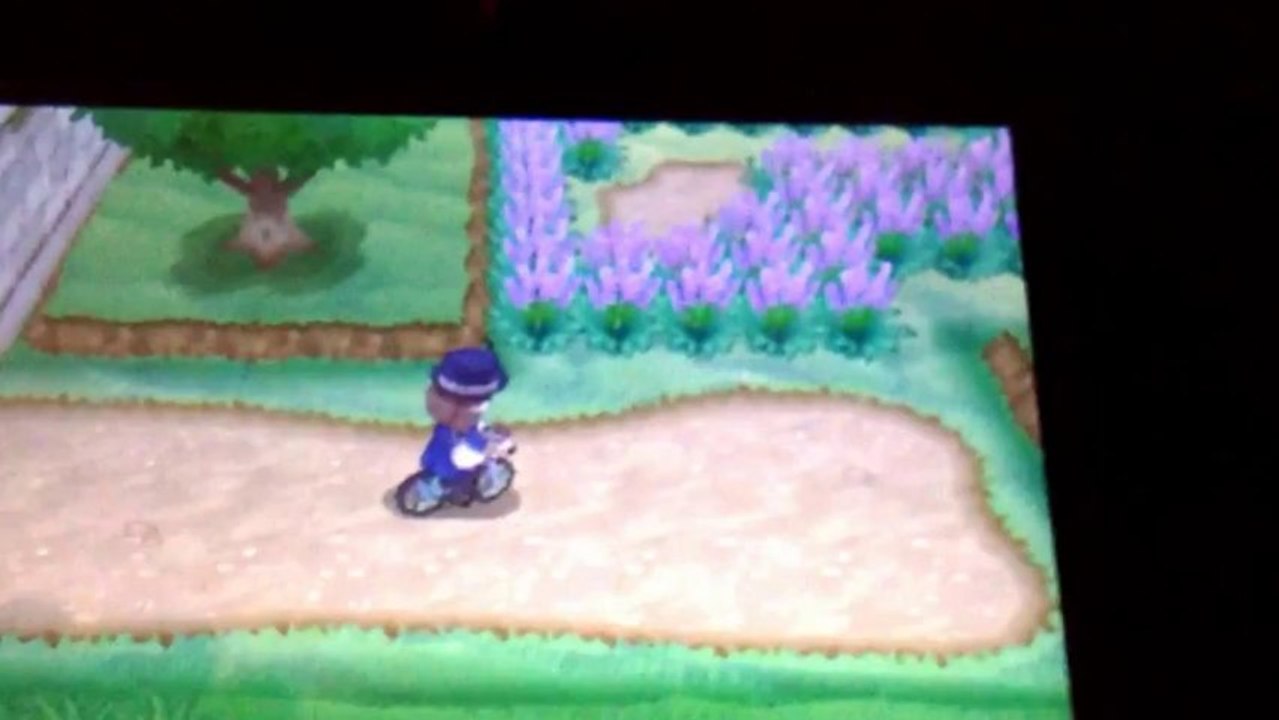 Pokemon Y: Shiny Ghastly Shined After 15 Eggs!