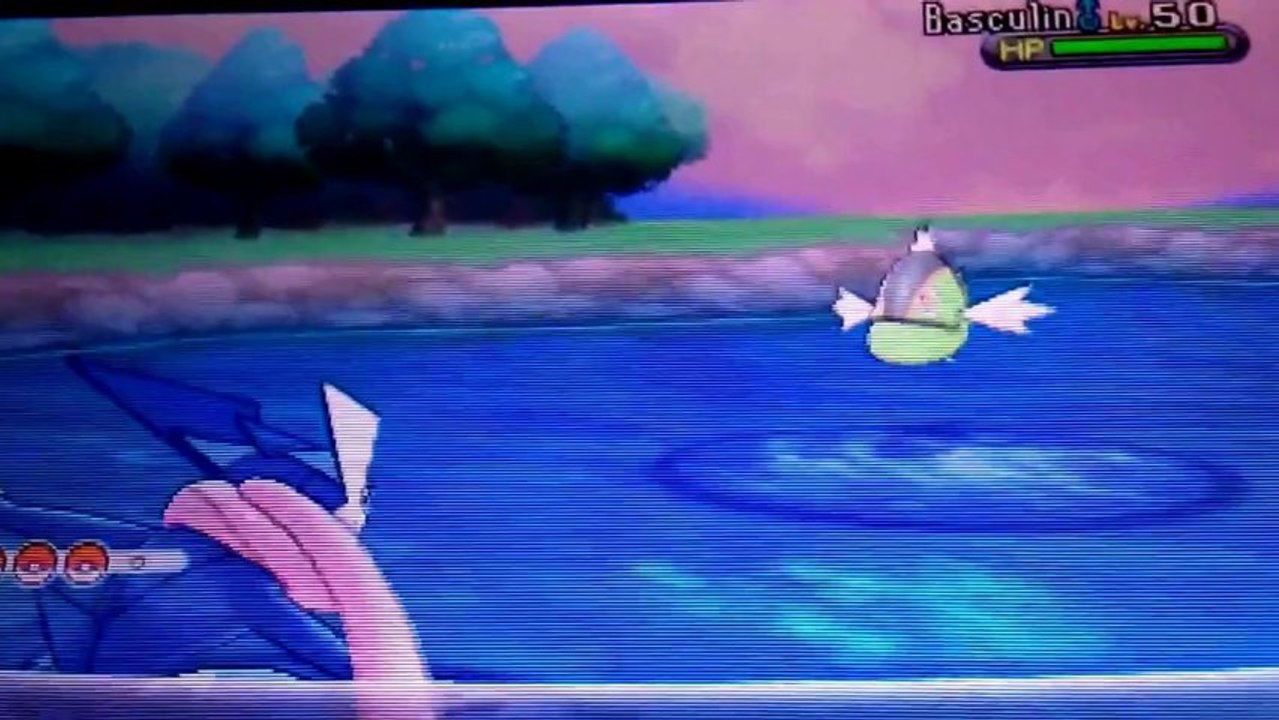 Pokemon Y: Shiny Basculin Kills Itself With Final Gambit