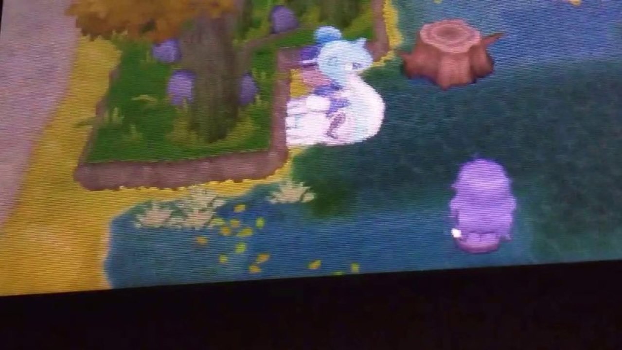 Pokemon Y: Shiny Poliwhirl After 25 CFs