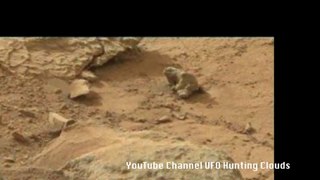 Curiosity découvre un... iguane sur Mars