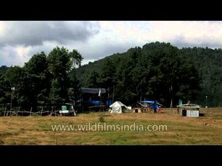 Hasta Manana: After pack up of Ziro Music Festival