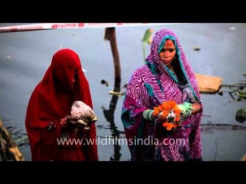 Women offering prayers to God Sun on the occasion of Chhath Puja