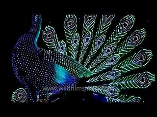 Lightshow at Singhi Park Durga Puja Pandal