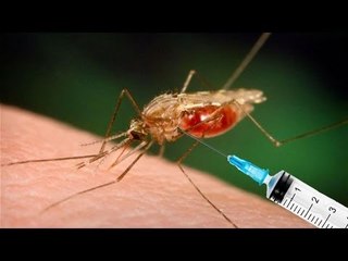Malaria vaccine moves closer to approval