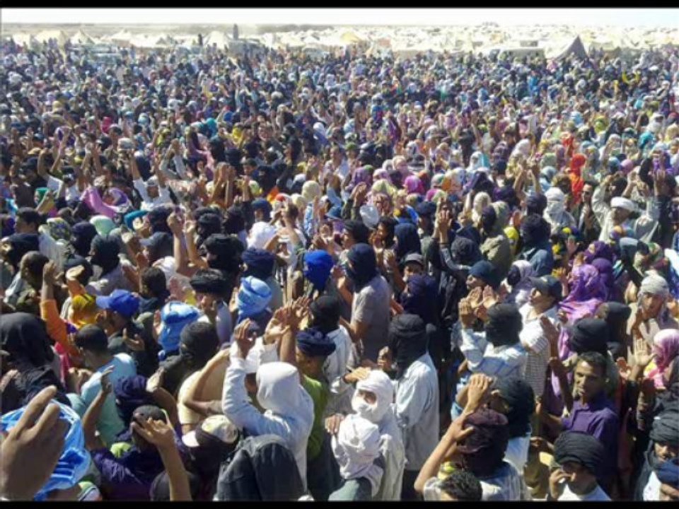 Arabs are not terrorist - Los Arabes no son Terroristas