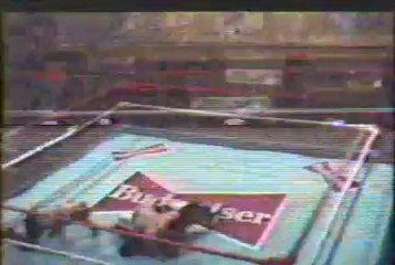 Brett Striker vs The Ninja Warrior