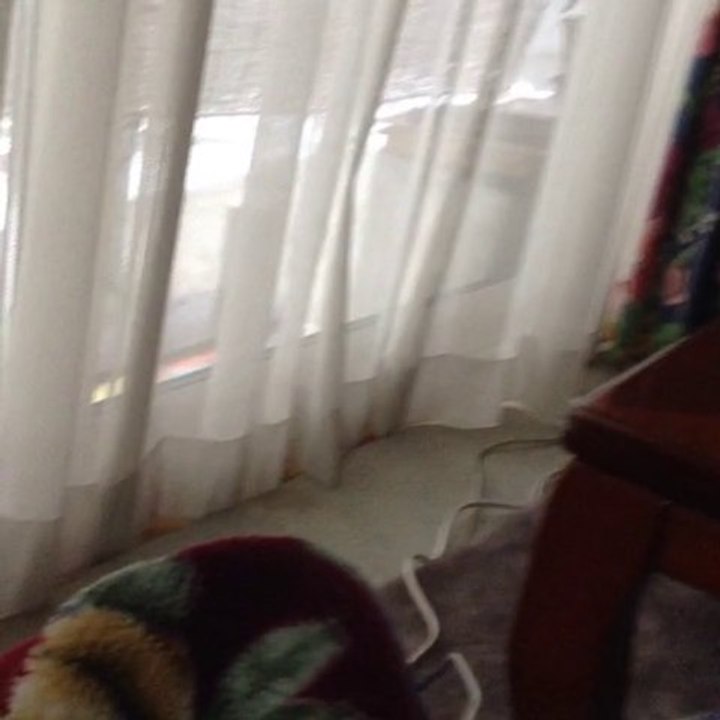 Mobile Capture 2013/11/13