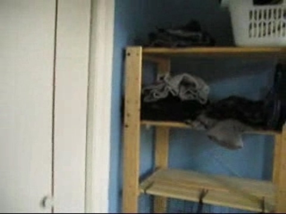 Chanter bonne fête papa