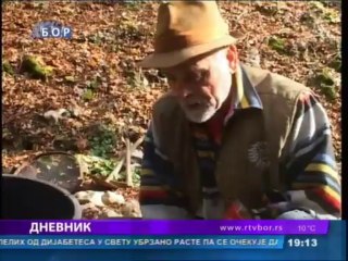 Dnevnik, 12. novembar 2013.