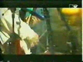 Breeders Divine Hammer mtv