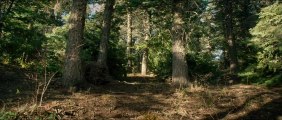 Lone Survivor Official Trailer 2 (HD) - starring Mark Wahlberg, Eric Bana