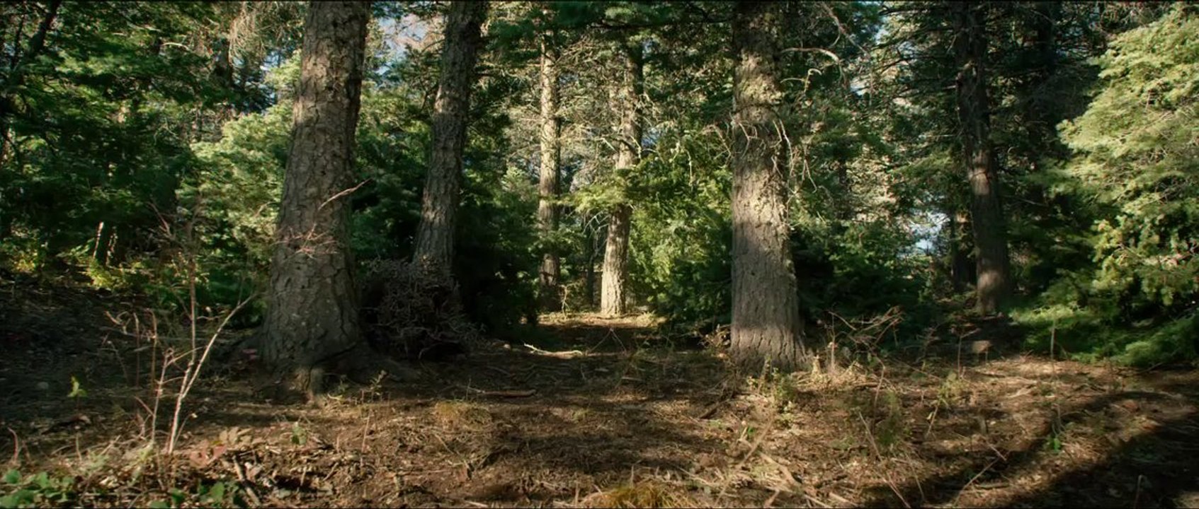 Lone Survivor Official Trailer 2 (HD) - starring Mark Wahlberg, Eric Bana