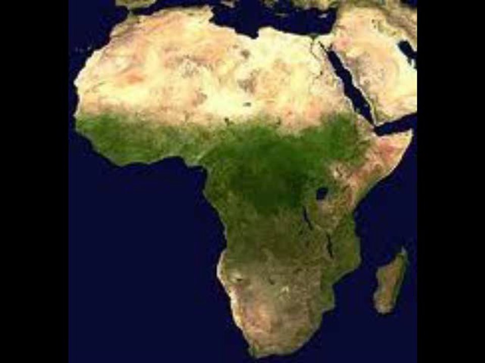 Bongo Dreams Africa
