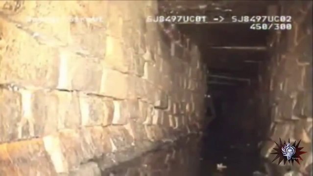 Las grabaciones de criaturas extrañas sin explicación