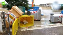 Rimini, maltempo: la quiete dopo la tempesta, ma attenzione al rischio frane