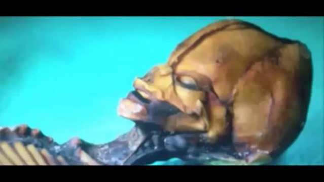 Sirius El 'mini extraterrestre' hallado hace diez años en Chile tiene ADN humano