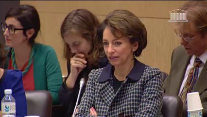 Intervention Dominique TIAN - Commission - Crédits Santé pour 2014