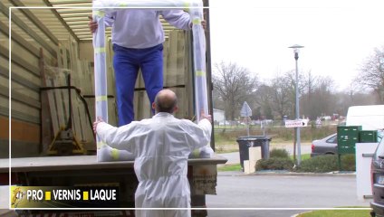 Pro Vernis Laque - Professionnels (2013)
