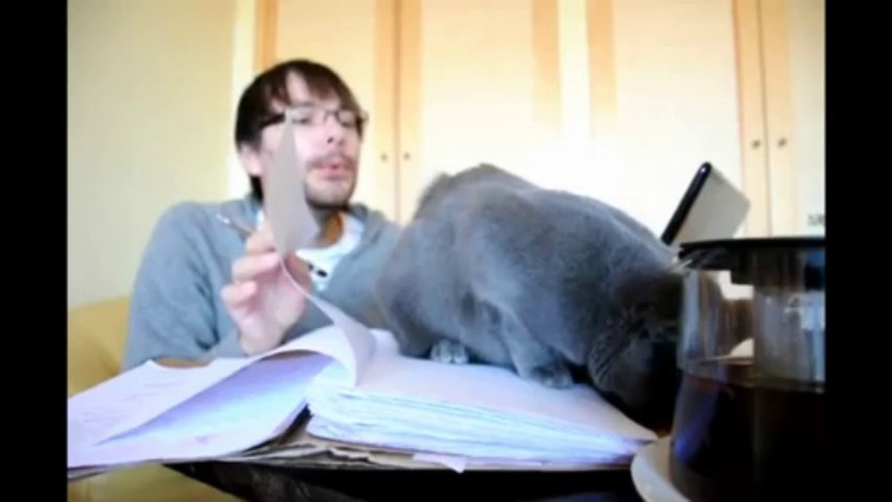 Mon Chartreux joue sur mon bureau !