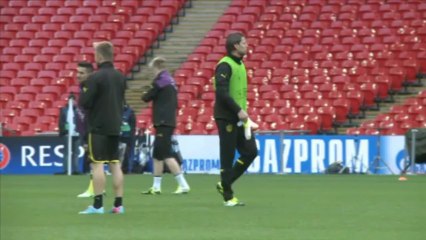 Weidenfeller's German 'dream come true'