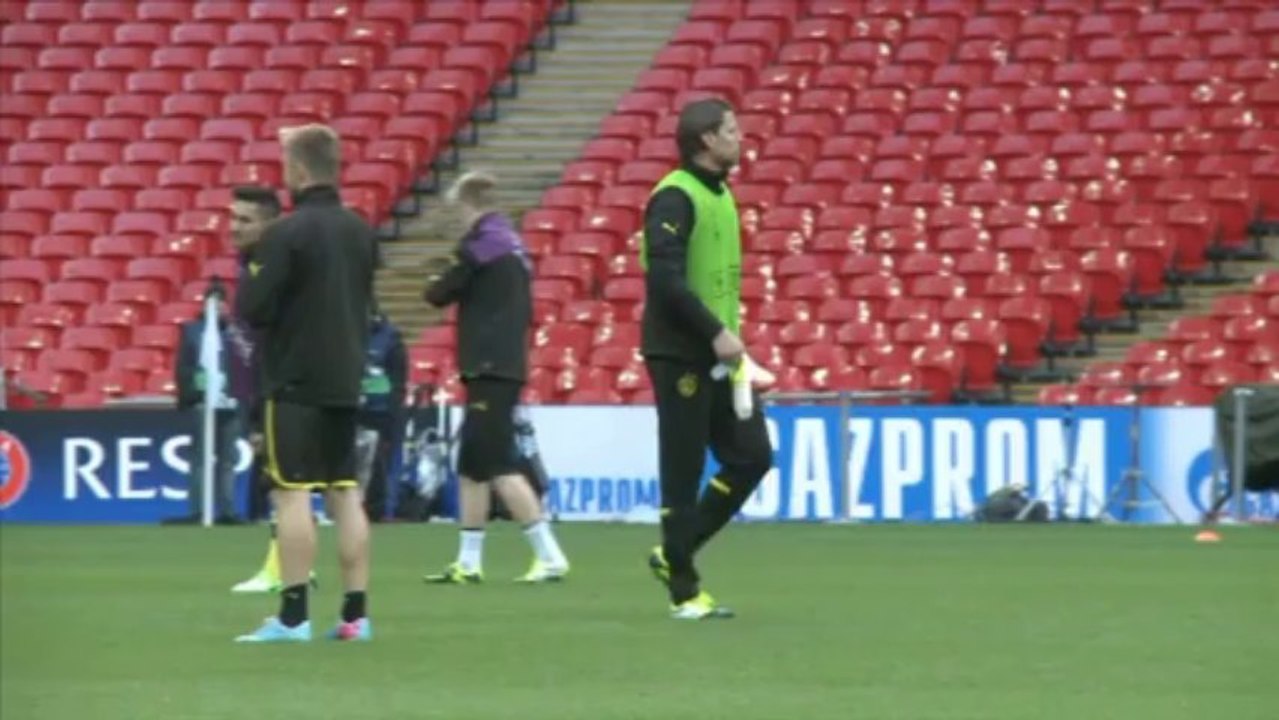 Weidenfeller's German 'dream come true'