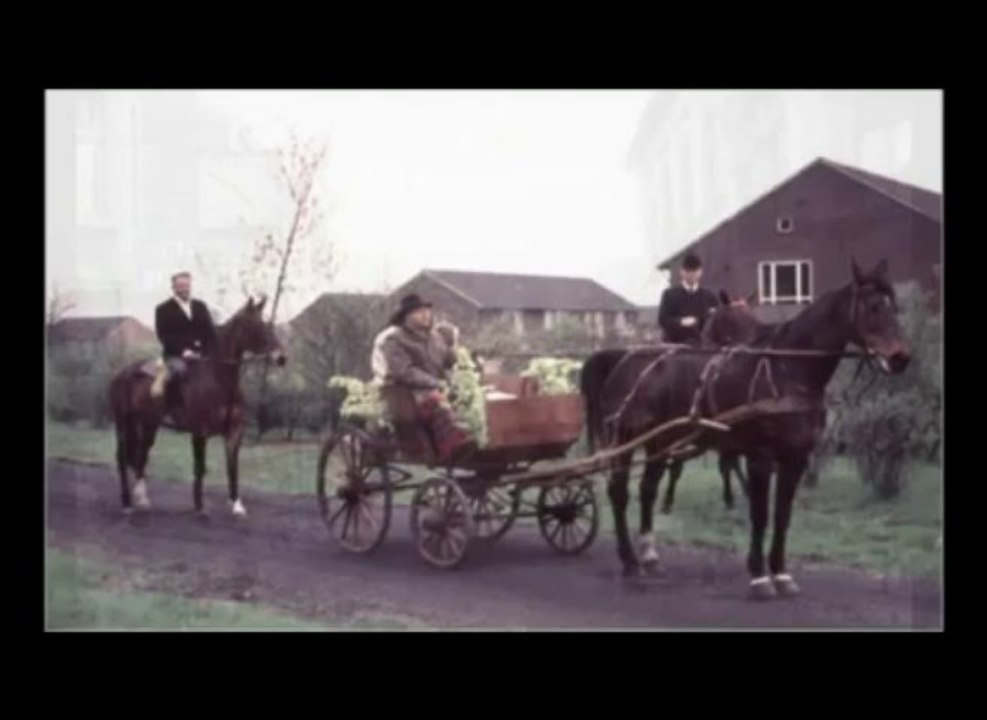 valter49 - Ezra Pound  Commissione