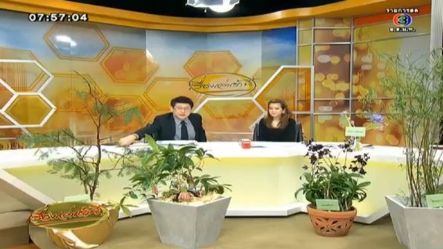 เรื่องเล่าเช้านี้ วันที่ 13 พฤศจิกายน 2556 [ฉบับเต็ม]