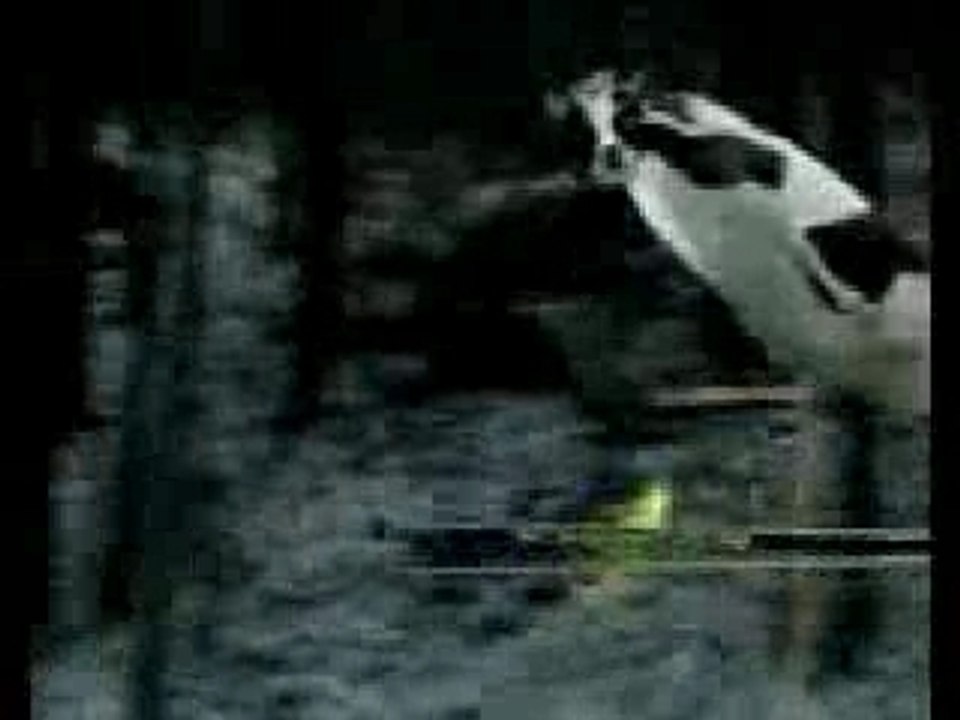 SAUT A SKI