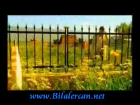 Bilal Ercan - Sarsinti