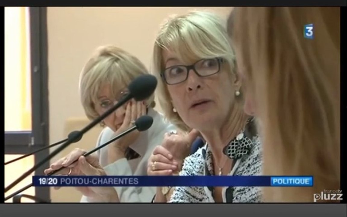 Elisabeth Morin-Chartier_European Union of Women_JT France 3 Poitou-Charentes_08112013