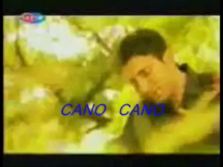 CANO CANO Bilgin Kilic, 2010