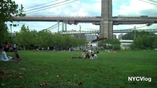 Picnic In Brooklyn Bridge Park Brooklyn