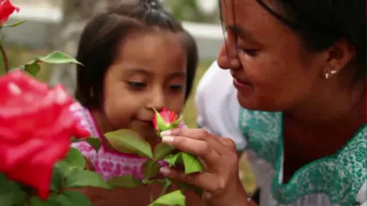 MetLife Foundation Commits $200 Million Over Five Years