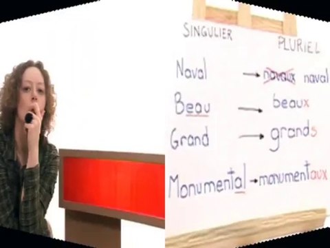 Le pluriel des adjectifs qualificatifs