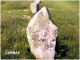 Les mégalithes de Carnac : le Néolithique
