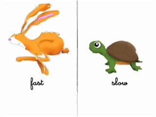 Vocabulaire : Les contraires