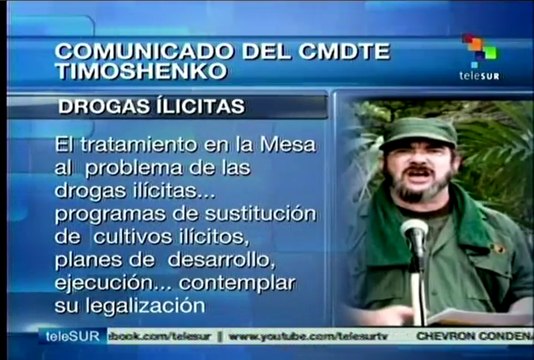 Informó Timoshenko sobre expectativas de negociaciones en La Habana