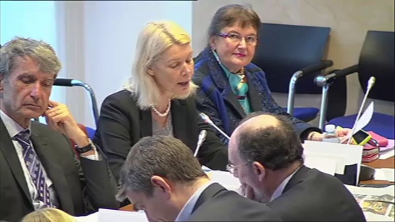 Intervention en Commission des Affaires Sociales sur l'audition du Professeur Houssin (ANSES)